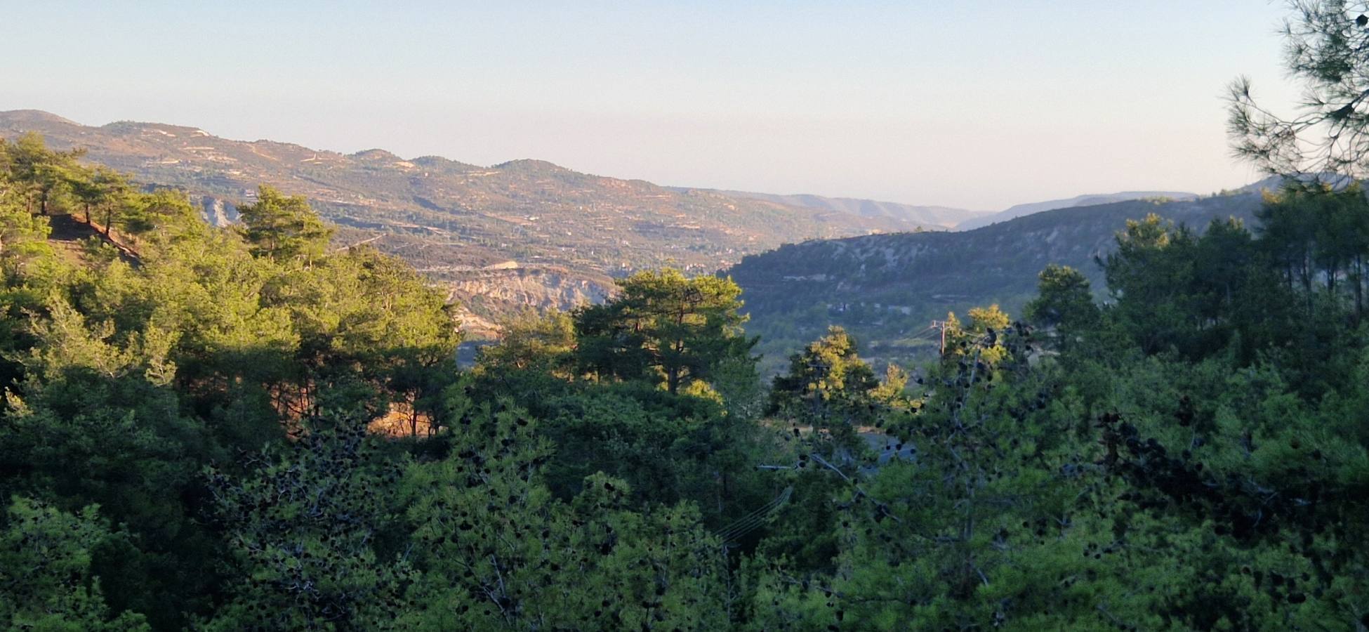 Moniatis Limassol Development Land – Zoning, ROI & Investment Report