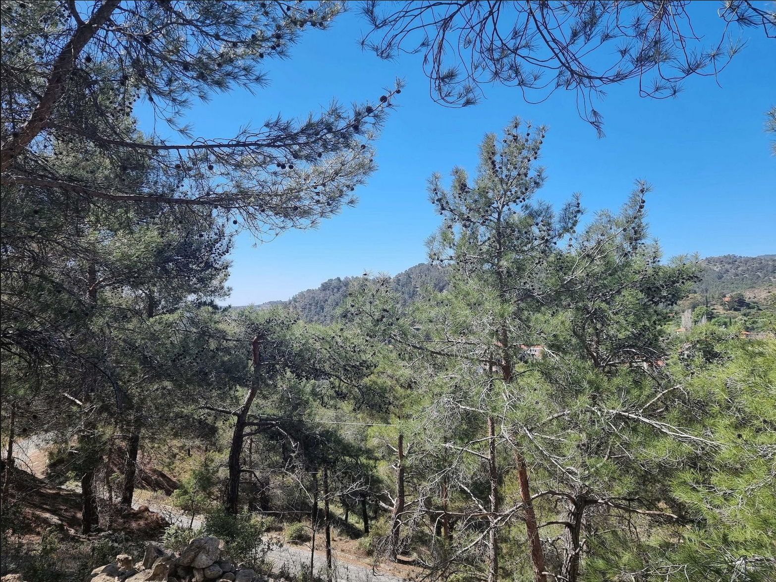 Moniatis Land for Sale in Limassol – Residential Development Opportunities